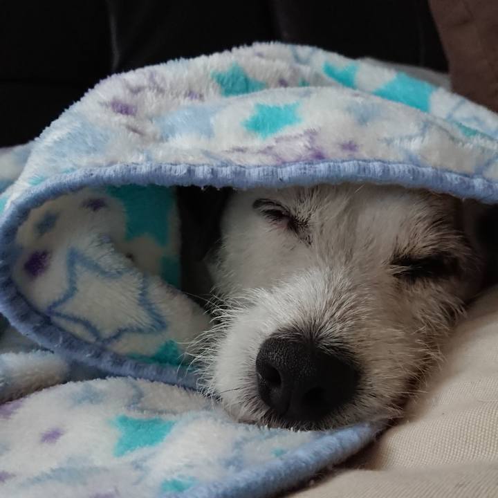 A9a40e4e 4483 451a 9a1f 75e9d2471418 1539386294805