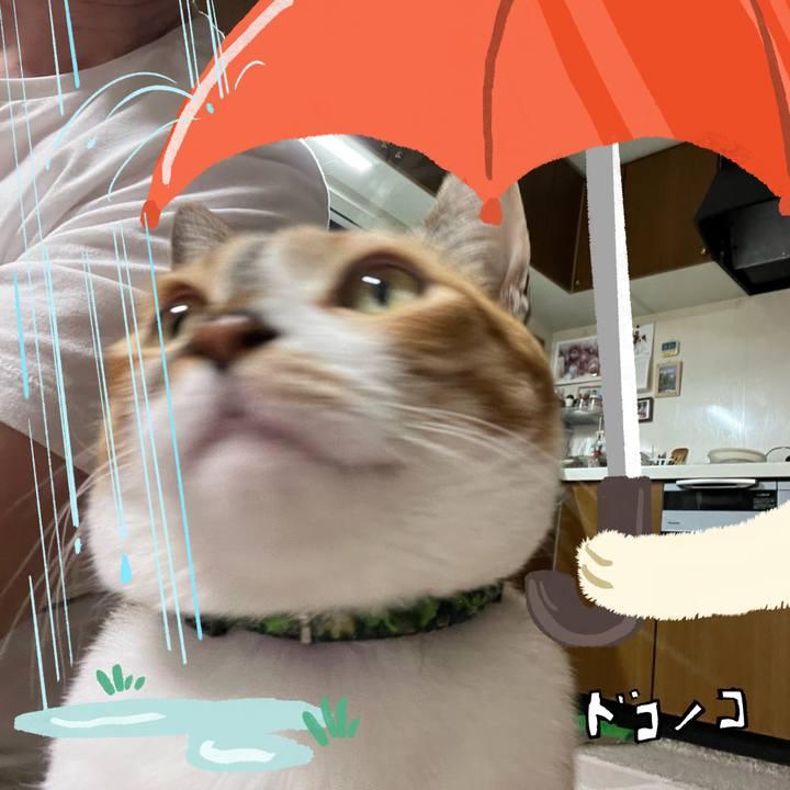 A9a468ba 6295 4f3e ac5b 49fb12f3e732 1749127041561