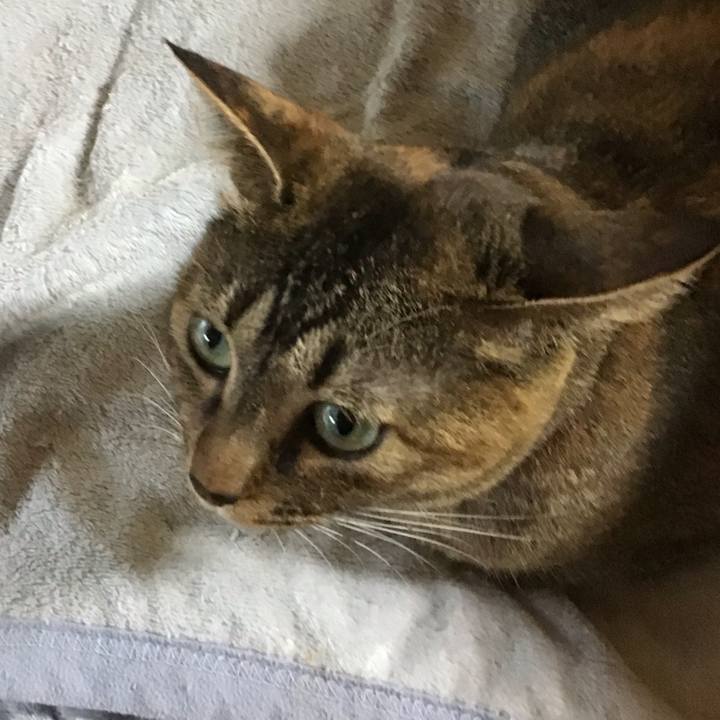 A9a48572 6580 4f56 86b3 2f846b80c401 1629191453754