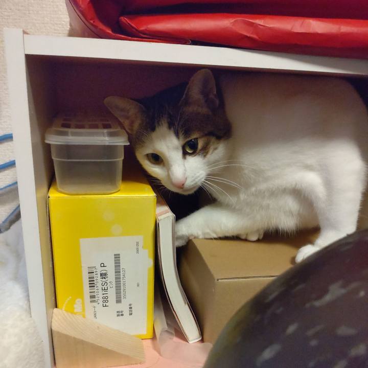 A9a4958c 8ddc 4cca 89dd 8b24ea370a50 1667386848880