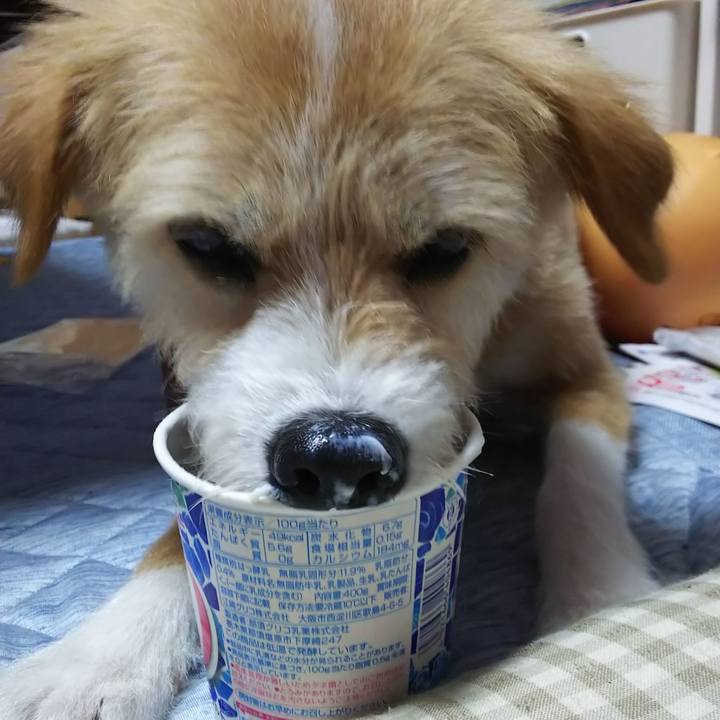 A9a4982e 6c19 4704 b81e 48c611651cc2 1561846205936