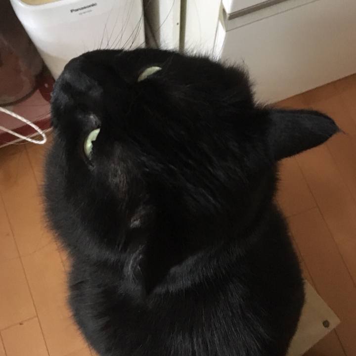 A9a4a9c4 f5db 4663 abda b093cb00b64f 1528981531957