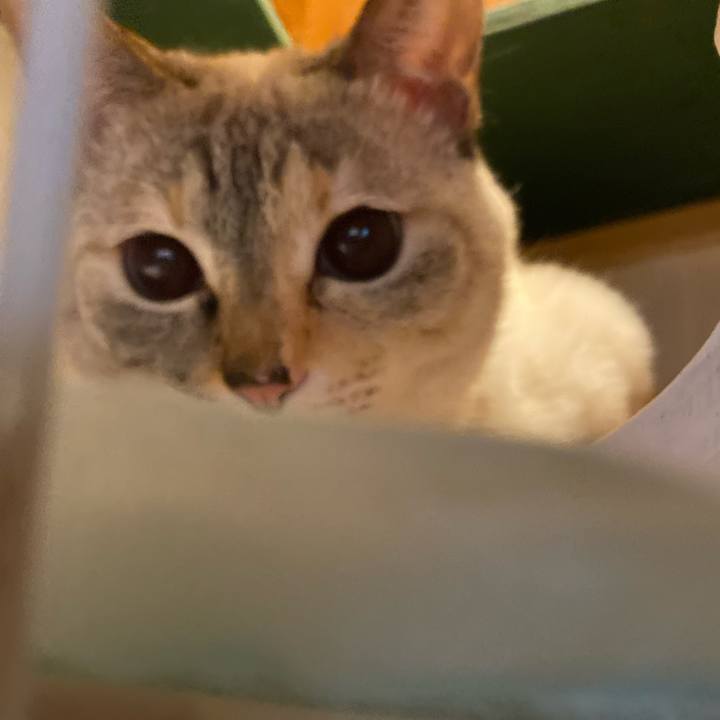 A9a4e60c 5c31 40b9 a473 d694cee2e03e 1704867932359