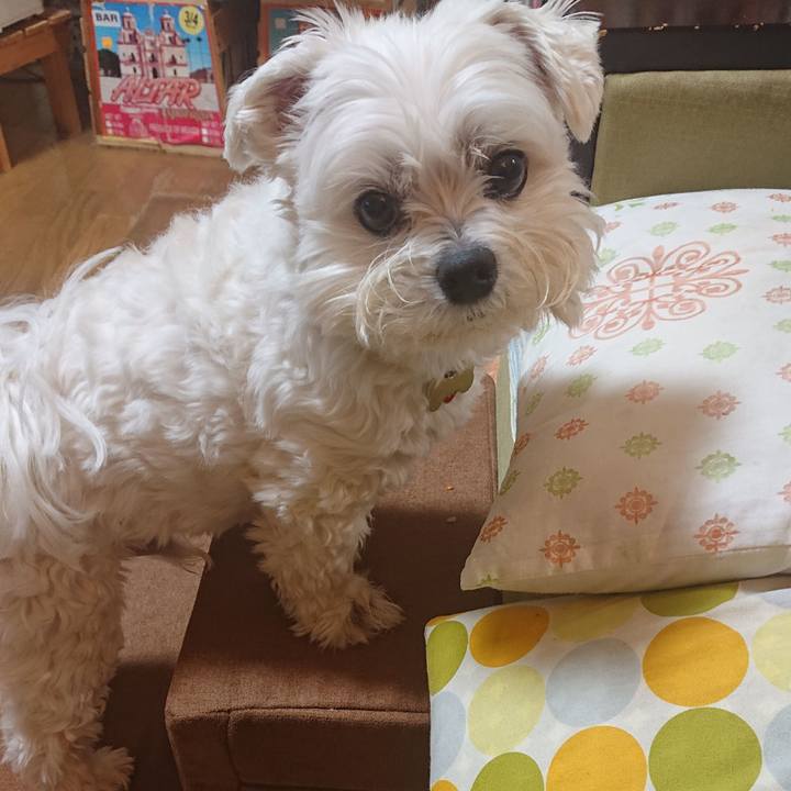 A9a4ef3f 4df3 40a7 be3d bf643d0eff5a 1616069063508