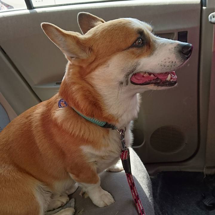 A9a524bd f656 4535 a696 4ebe2837660e 1618103979746