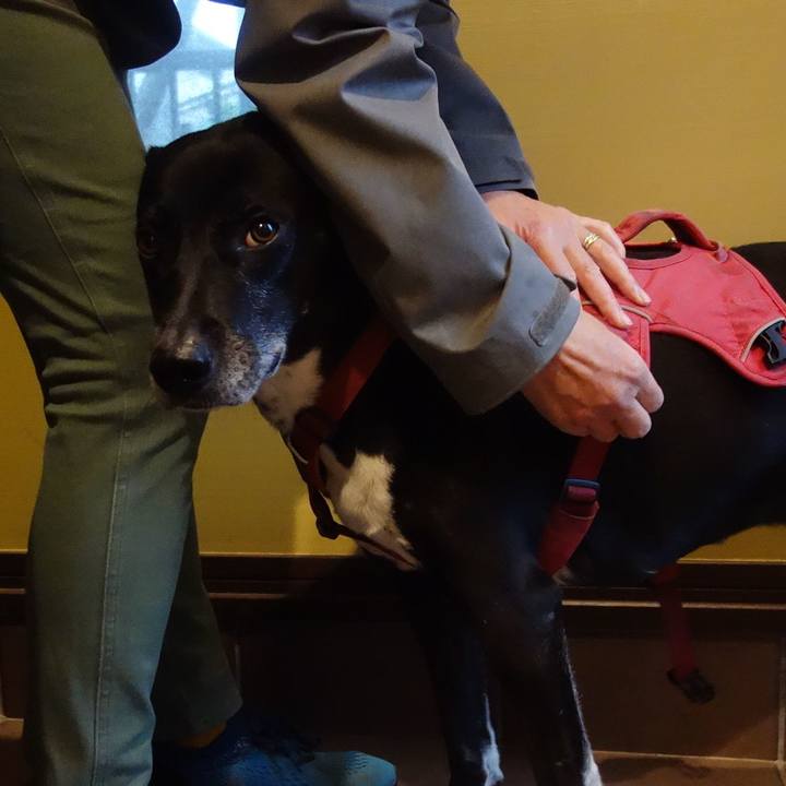 A9a52b86 09b9 4843 8b99 2a8678c8c63c 1700956604892