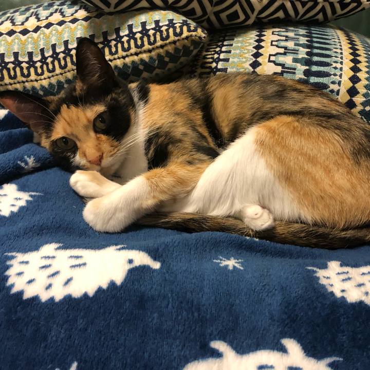 A9a53ad1 5767 444c 8720 547a64f24339 1558615020223