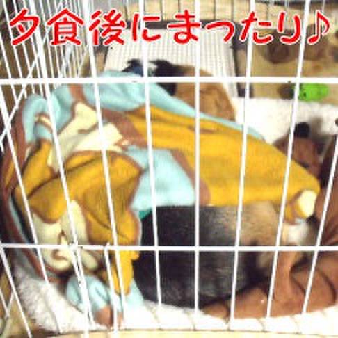 A9a5a0f0 90f3 4ab8 bec6 4a6a93b71c48 1702080342827