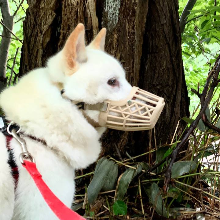 A9a5a9b5 bb4d 4b75 8573 a67426a97679 1593723917849