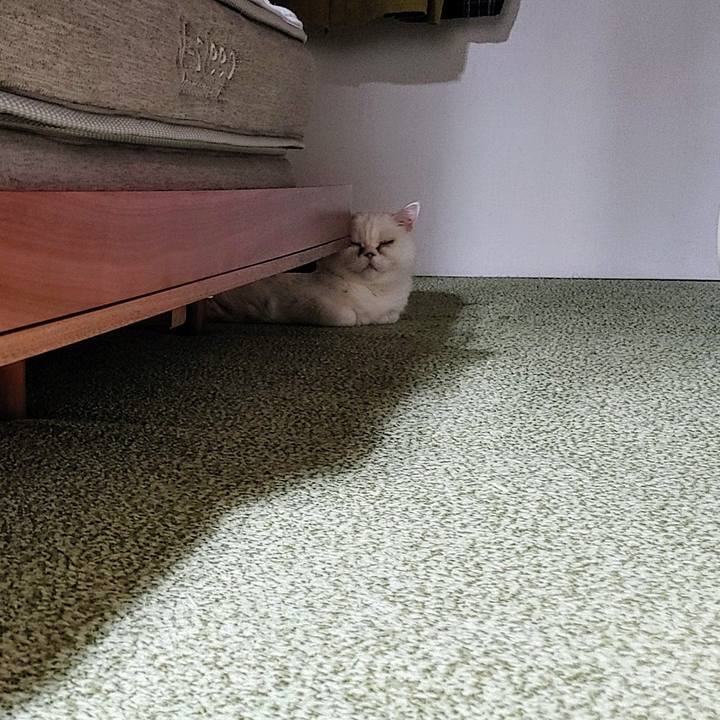 A9a67496 42d3 4109 b656 16183f0d1291 1737378757542