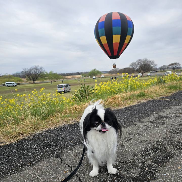 A9a6fe62 13a5 4c62 810a 9d82ba861b3d 1711971511603