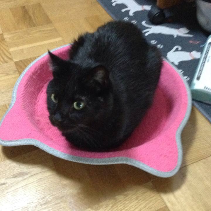 A9a73d3f 2656 4234 9908 63e2b2f8dd5f 1568755846860