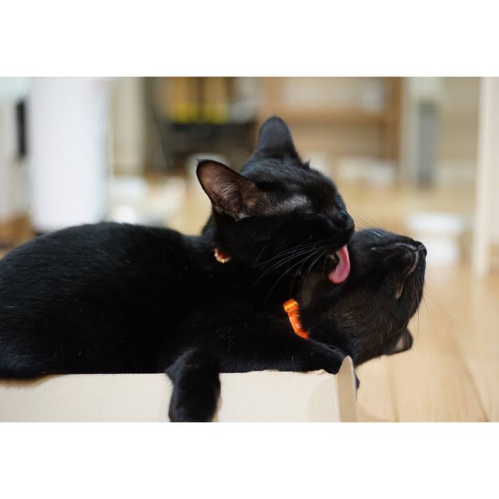 A9a751a0 9bed 4607 9c09 90ac0974cc75 1522799826123