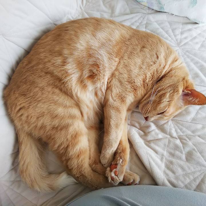 A9a752e3 2cb7 495e 92c5 6025ce347671 1663548327103