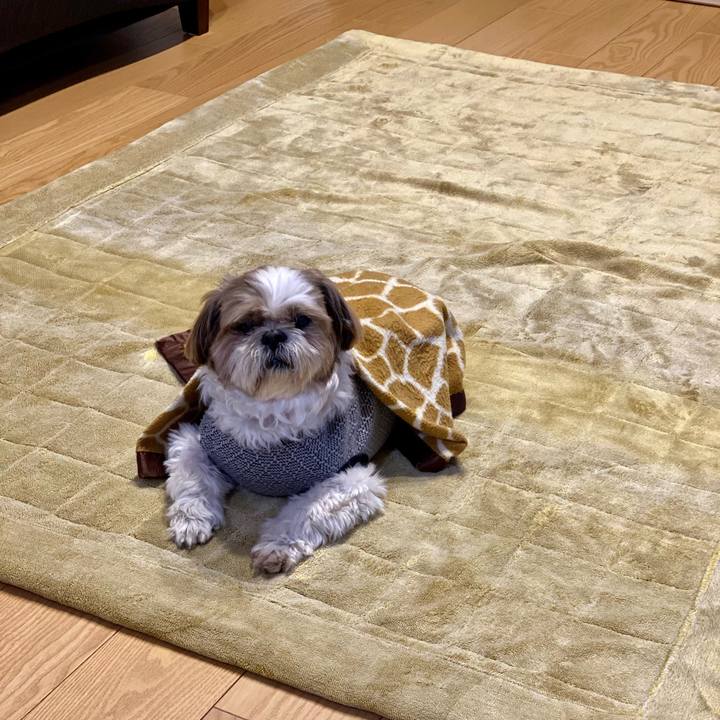 A9a779c7 9c58 4ba9 a48a 97cd9aa9769f 1670211571330