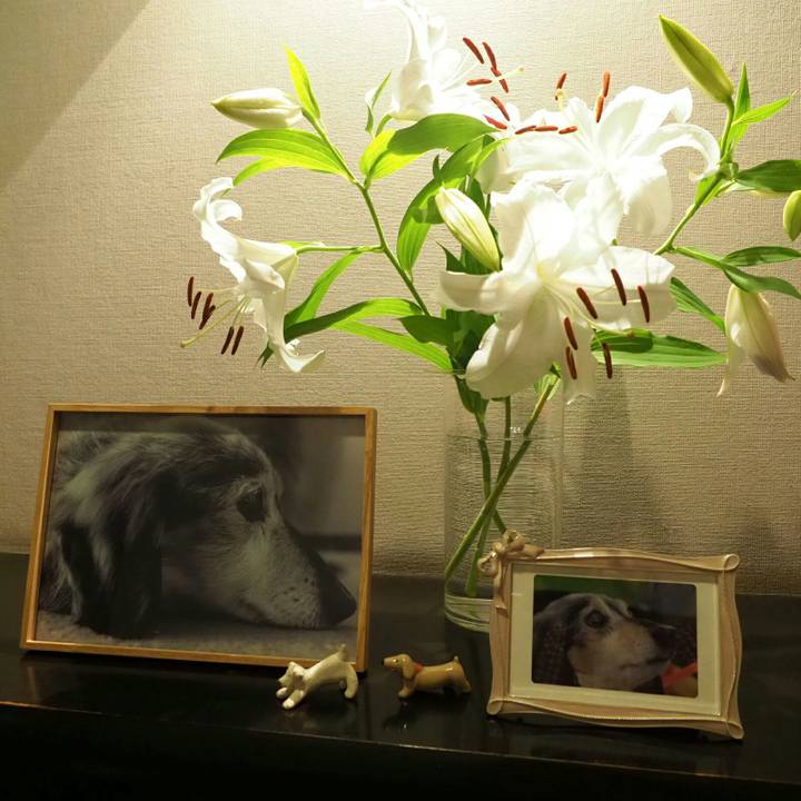 A9a7815d cc51 4c0c 9586 a5bf4d8399c1 1531315248241