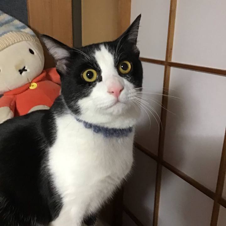 A9a78cd0 b90e 4b58 b2a9 62bdc6d65527 1643319642403