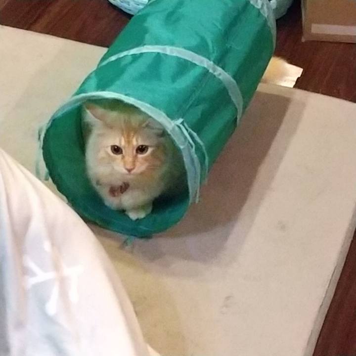 A9a7b1ac c497 4f92 9473 fd24f90f9ced 1634905878597