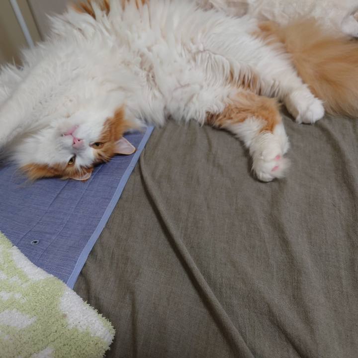 A9a7be23 1627 436c 957f 8400357618a1 1592710282373