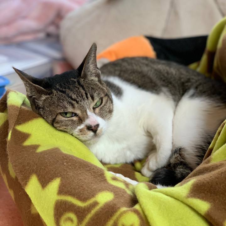 A9a7c241 d279 46da be81 7d665ae9890e 1576026548756