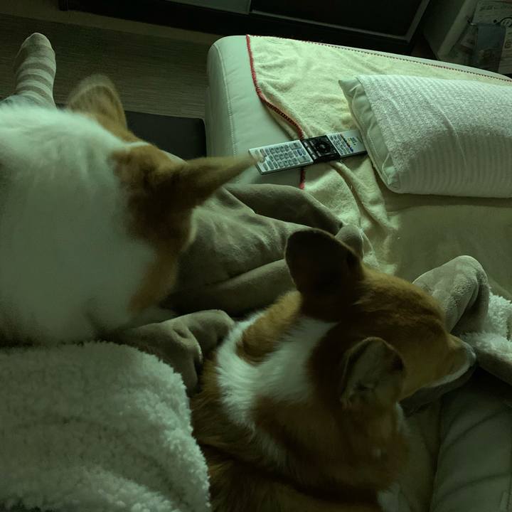 A9a7c4f4 9d47 4abe 982d 43072738cf2b 1577135978433