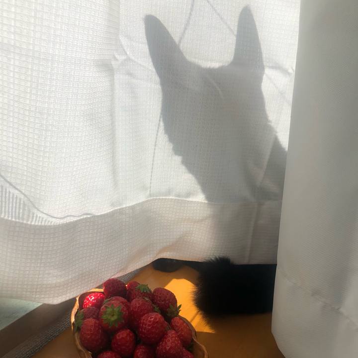 A9a7c6ef 5e04 4b61 8a5d 7f2489a2e642 1615339058205