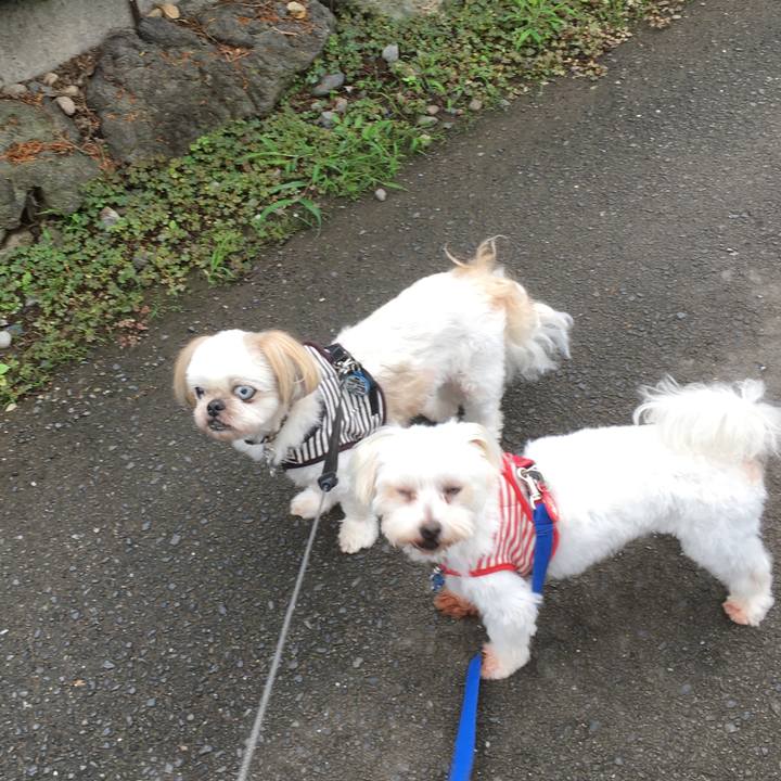 A9a81d38 cbd1 4fae 8882 a254b5fec9d8 1624574569258