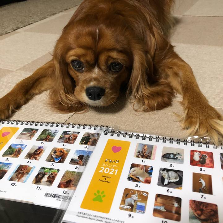 A9a83221 c8df 43e8 8d5c 0bc8d7d7c471 1605872664745