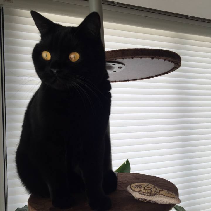 A9a8331e 6e39 4f07 8ddc 9fb0ddc5f905 1576127958126