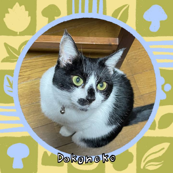 A9a85098 5e74 47d5 95d6 00516120b4e6 1761367697702