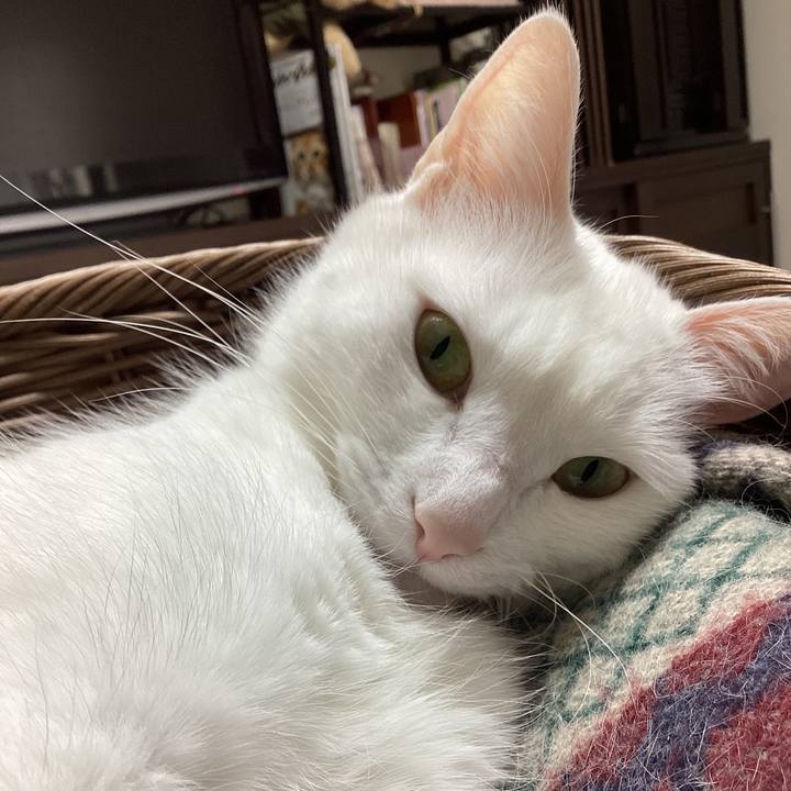 A9a85d13 9e55 4982 a26c b9e010d5fe7d 1705132438230