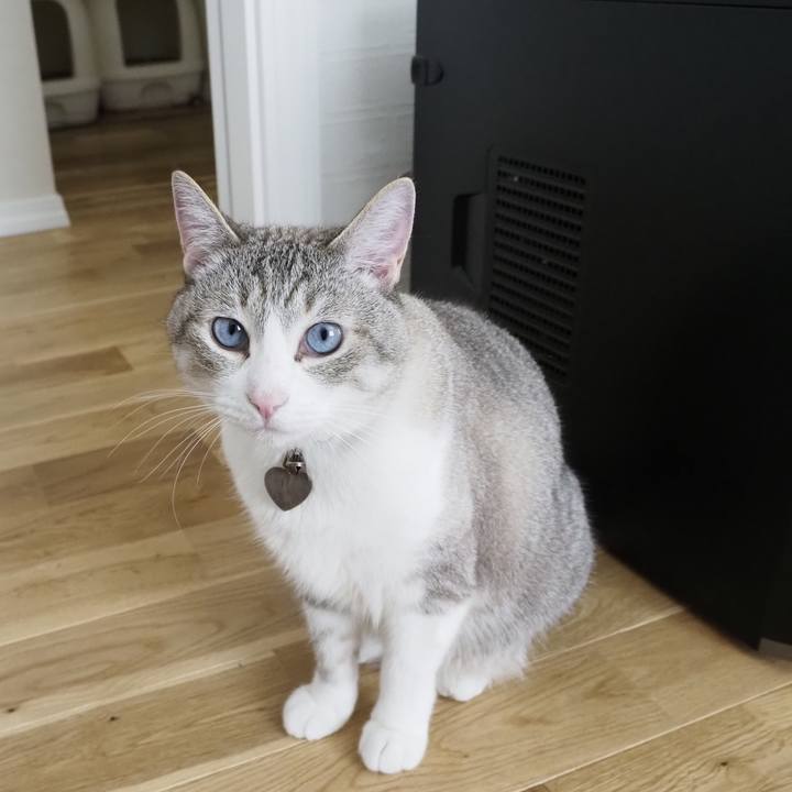 A9a875c3 01e5 4b51 9ca7 2947b380aa3e 1623841928526