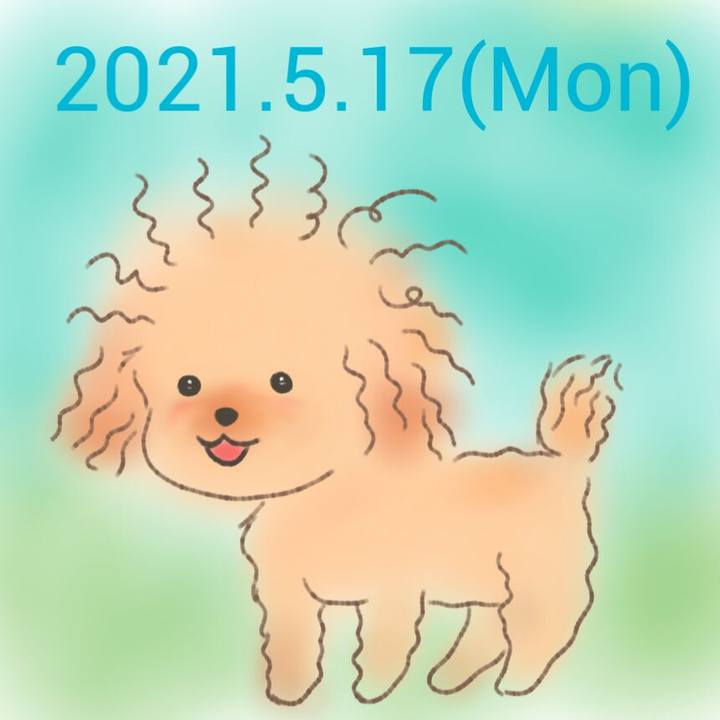 A9a87adc e9d8 4cb2 b685 59fedf0ee401 1621253030983