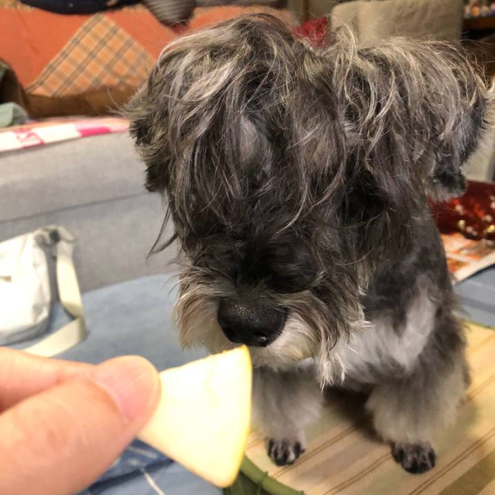 A9a8a312 4c36 402f a215 9b781270f778 1700056247820