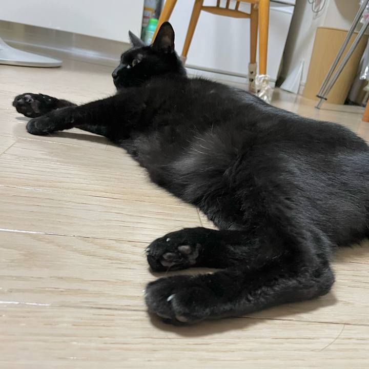 A9a8cd97 c5c0 4c6e af20 867ef50c5b45 1725531316475