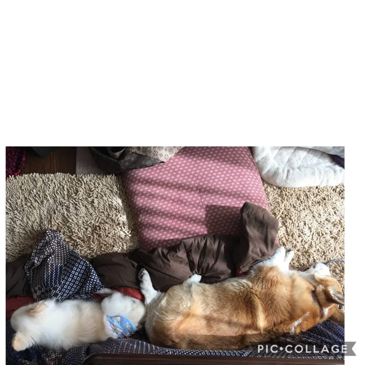 A9a8d4e1 0a10 4232 ac3c dc2d74f2915e 1609984218561