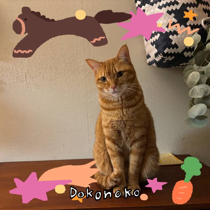 A9a8fdee a40c 4a52 8e61 056c32d78a24 1772196575908