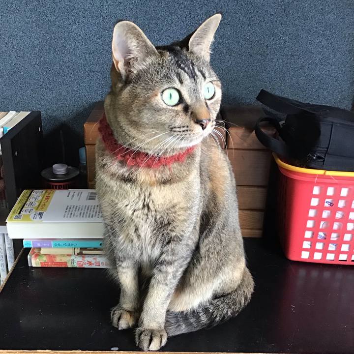 A9a913d8 c783 42da bba1 6e6059ec10e4 1644539715372