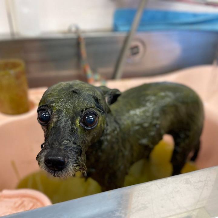 A9a92a2a 860f 4a9a 92a4 de2330cf44bb 1659244782842