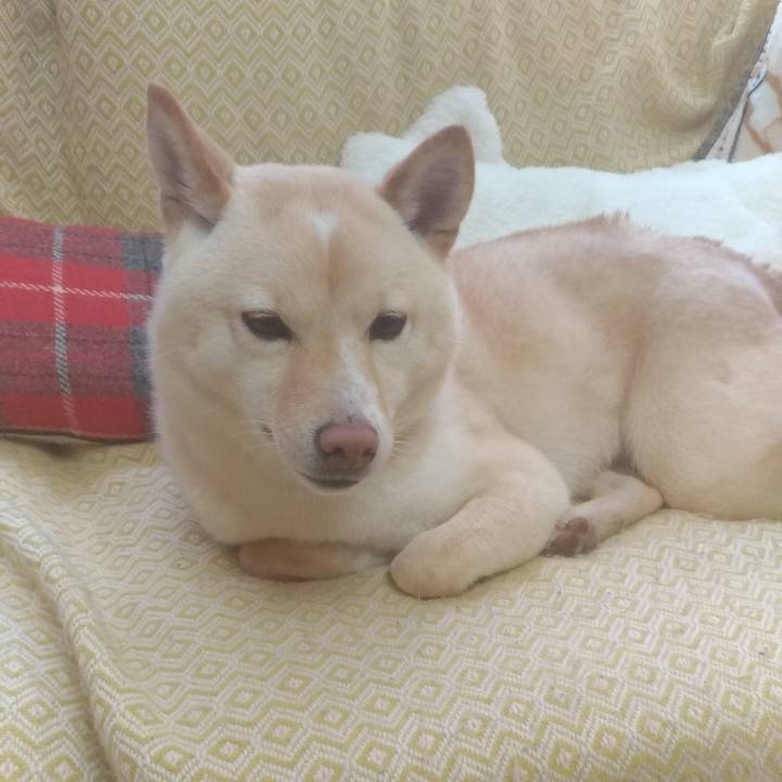 A9a931d1 0305 4433 9b97 aaef89dcd320 1552001493510