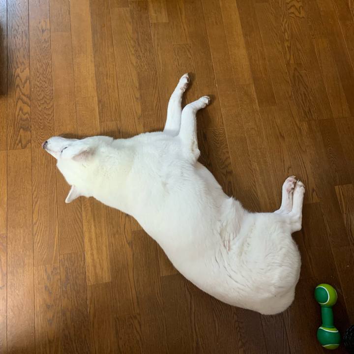 A9a94bd9 8adc 4686 a15e 0579ccea03c9 1564273416903