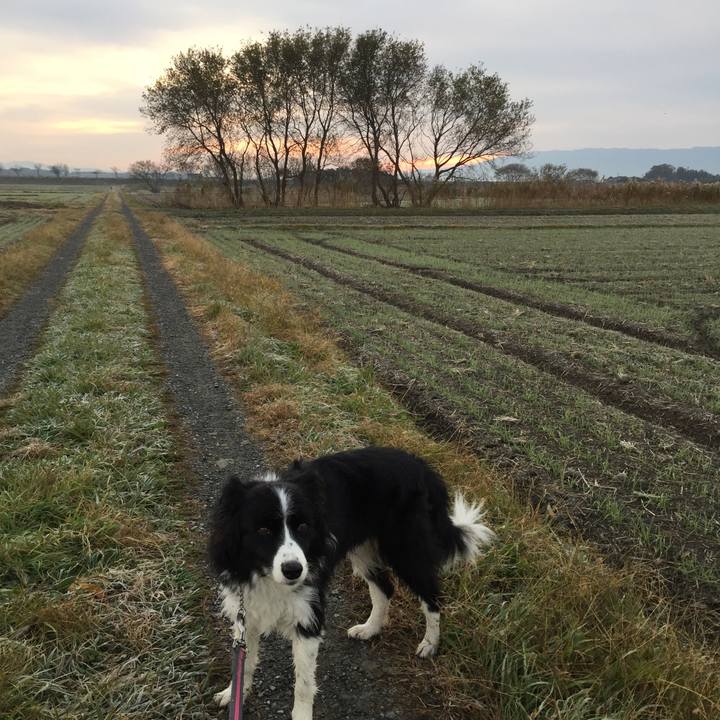 A9a9b3a2 458d 4a2b b07b 6d9b65a5a495 1575932574822