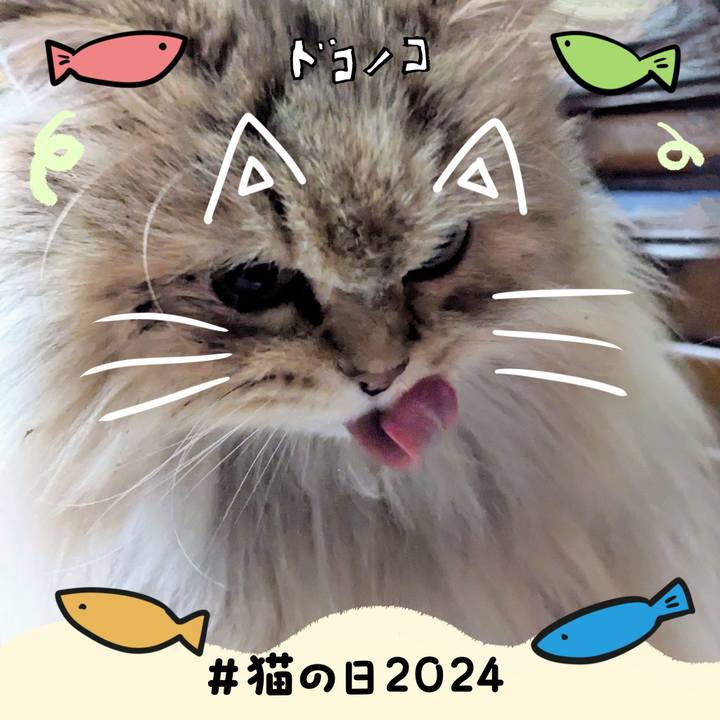 A9aa0253 0939 4a9b 837e 347c6f841e5d 1708564605150