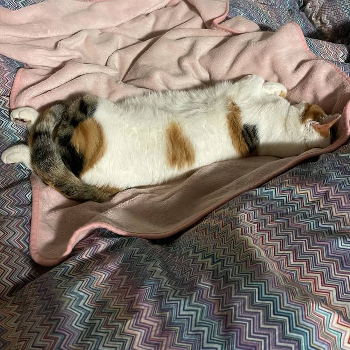 A9aa24fb e233 4e32 9042 9734d47dd6a0 1610277879448