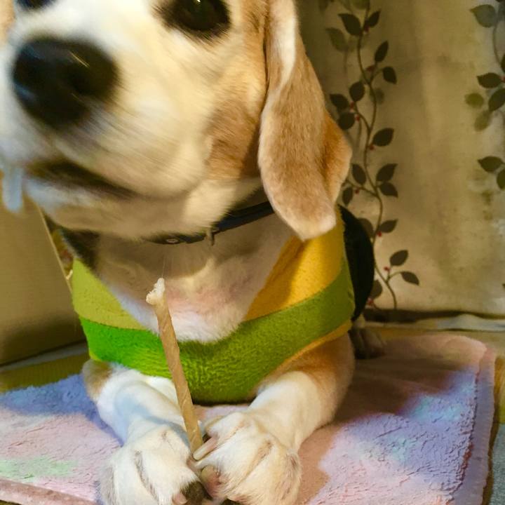 A9aa4053 ab86 49be 8232 2a4e8ded6c68 1733952802104