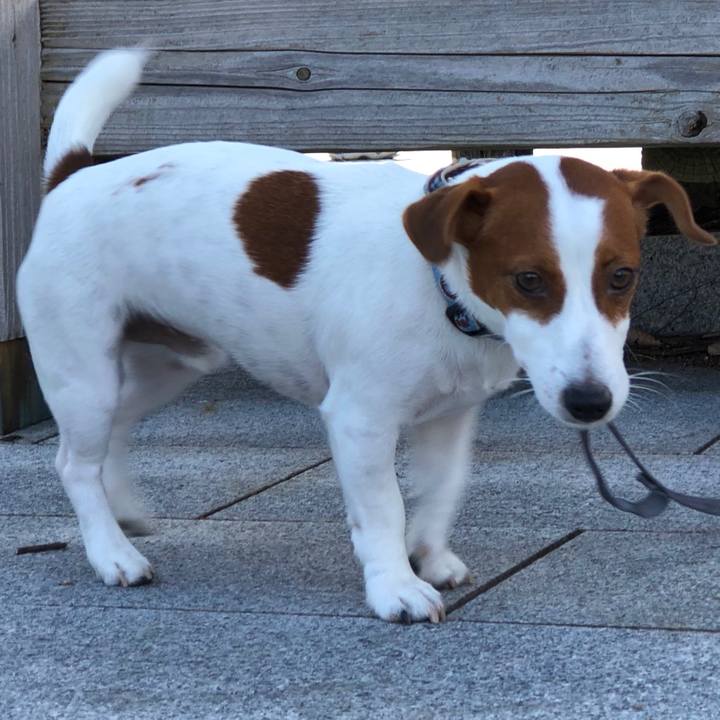 A9aa5b94 0259 4453 8075 9950f1eea1b5 1540369132919