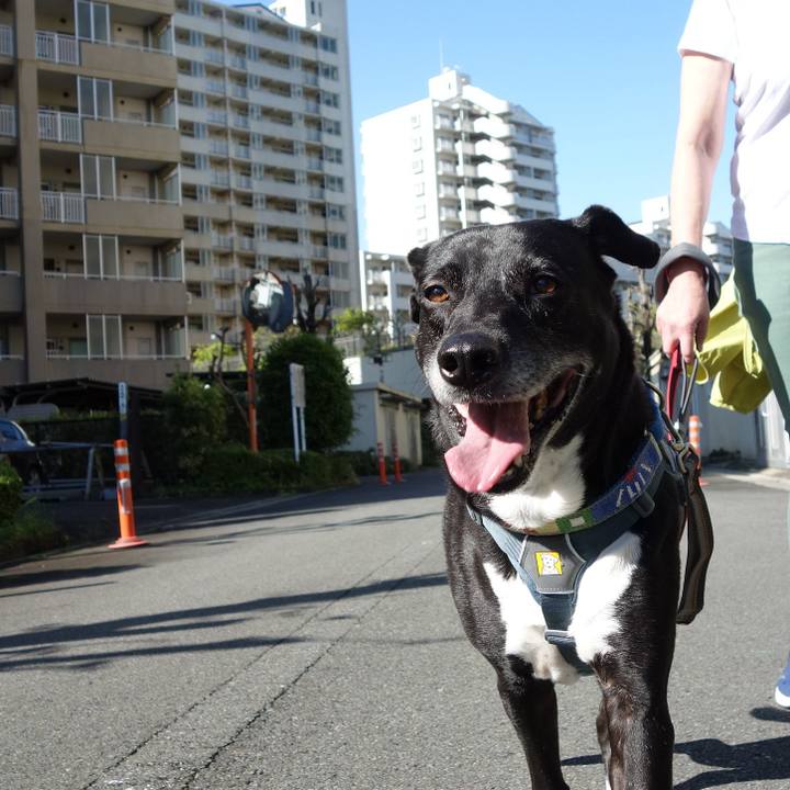 A9aa681b 1930 47a4 b571 b6bb31998b9c 1714004205353