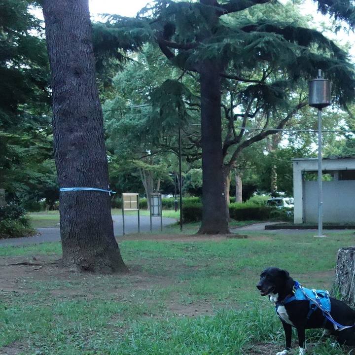 A9aa6a49 840b 4baf 82aa c7aec1f25dc6 1691837623545