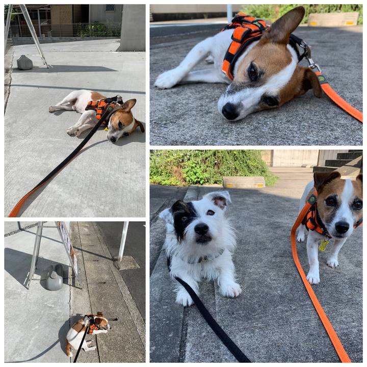 A9aaa722 0ed7 4610 9406 96309bf8c697 1567381066211