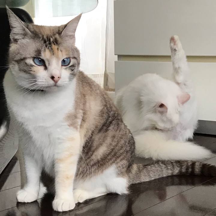 A9aafc3b d8d0 4772 bfa5 fe432a048d0e 1557104256518